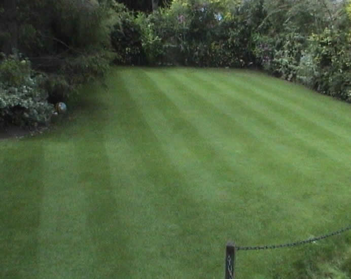 lawn care and treatment in Bolton and Bury