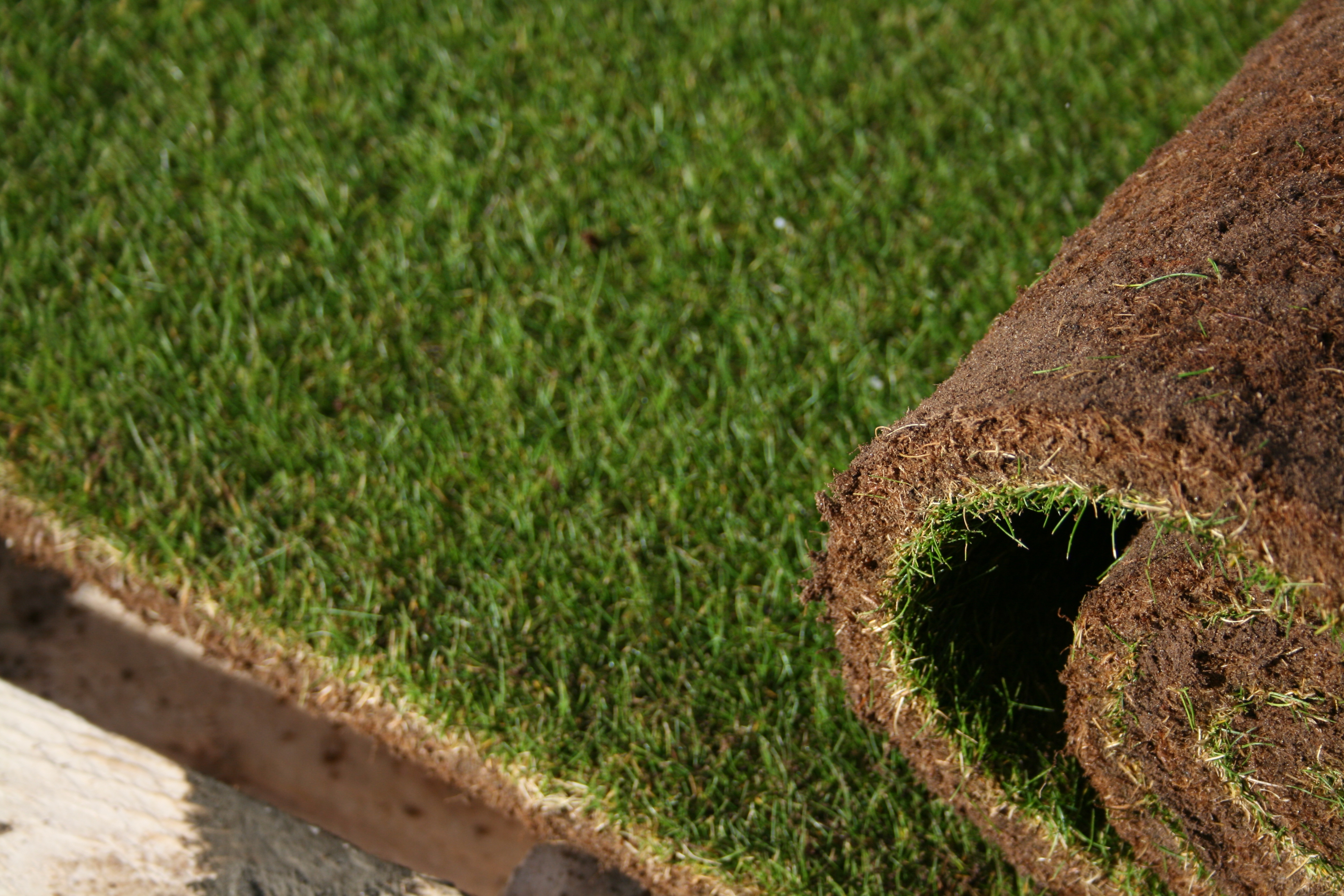 100% Fescue turf - lower maintenance and superior shade and drought resistance