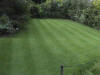 Once constructed, it is important to maintain your lawn regularly to ensure it stays healthy and hard wearing