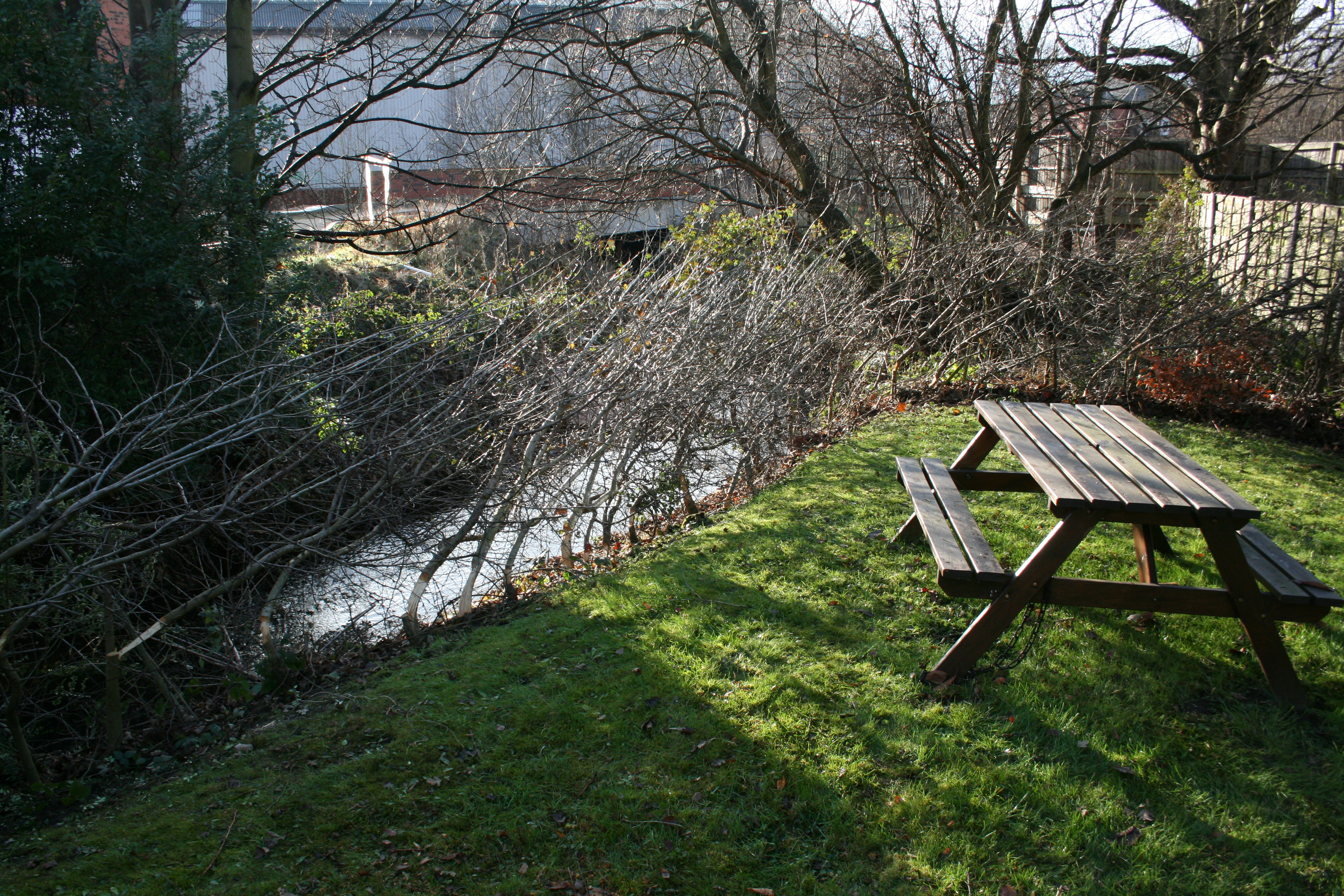 Hawthorn Hedge laying completed
