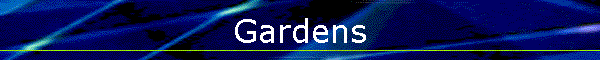 Low Maintenance Gardens
