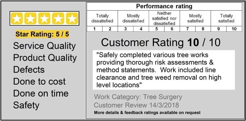 Customer Rating 5 Star Review - Country Landscapes safely completed various tree works providing thorough risk assessments and method statements"" 