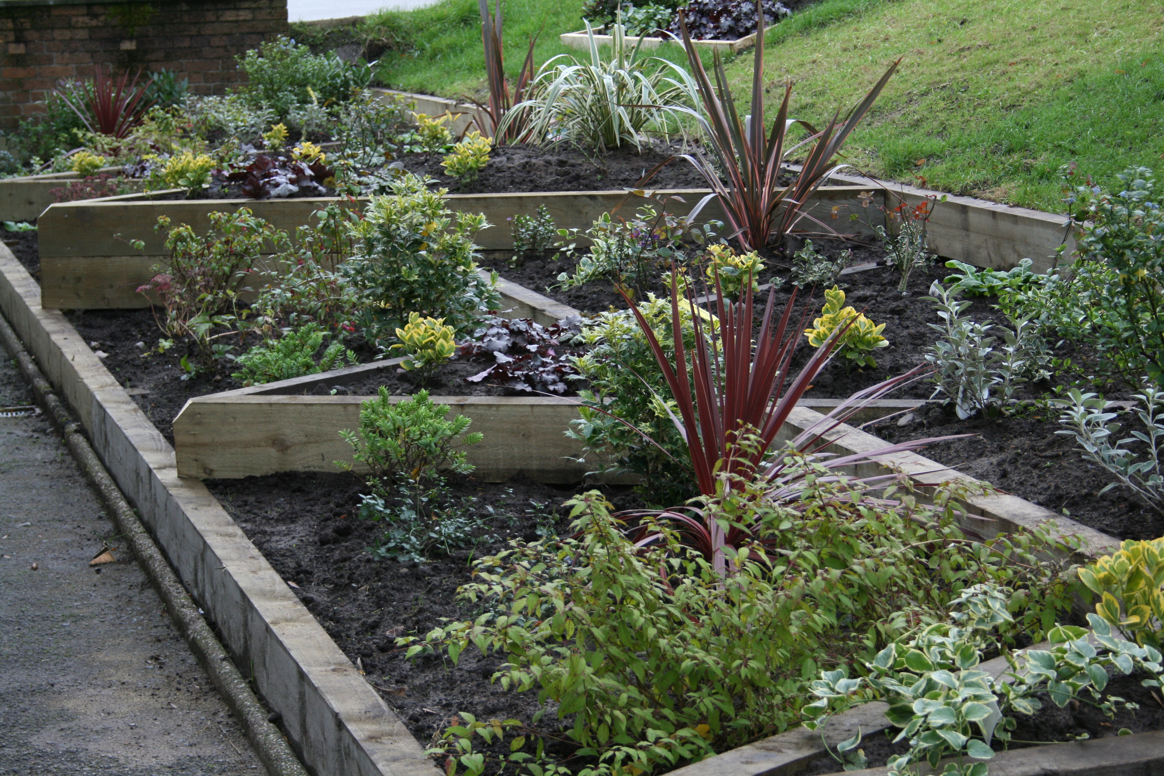 Raised planting beds at Mathew Moss High School Eco-Garden (Rochdale)