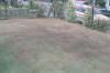 Top Dressing in Autumn or Spring