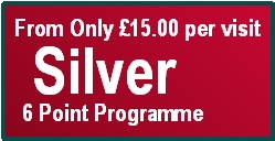 Silver 6 Point Lawn Treatment Programme