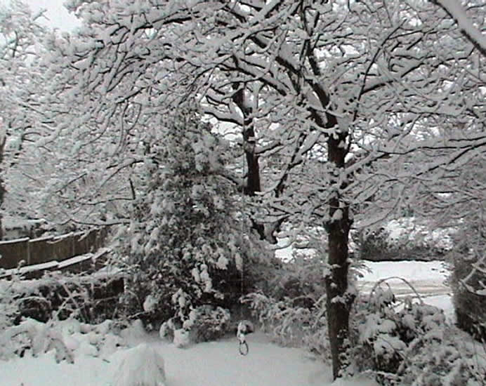 Local Gritting Service Bolton