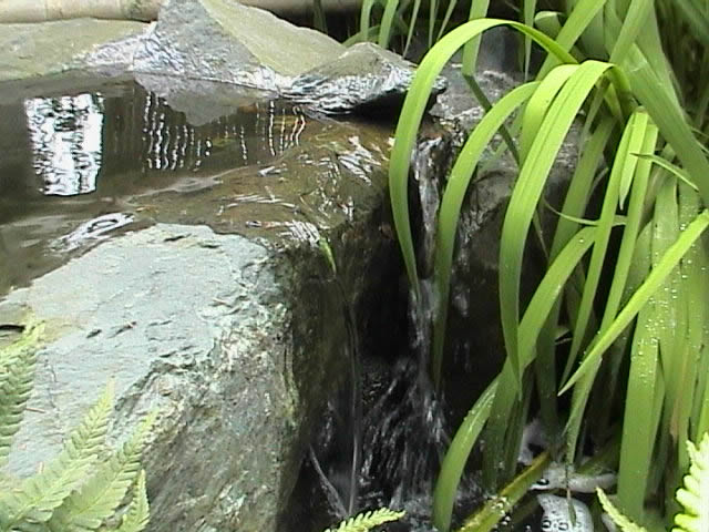 pond building bolton