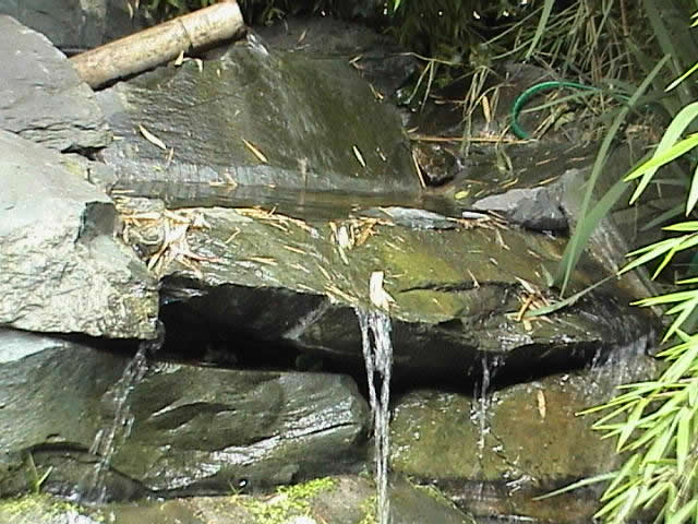 garden ponds in Bolton