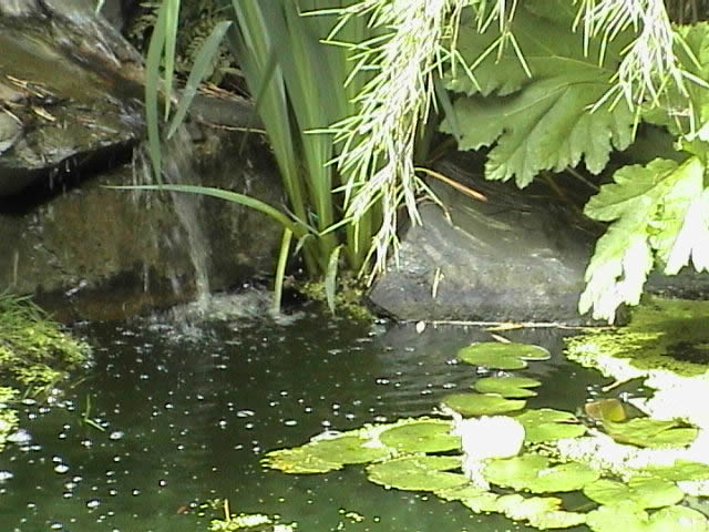 water features Bolton