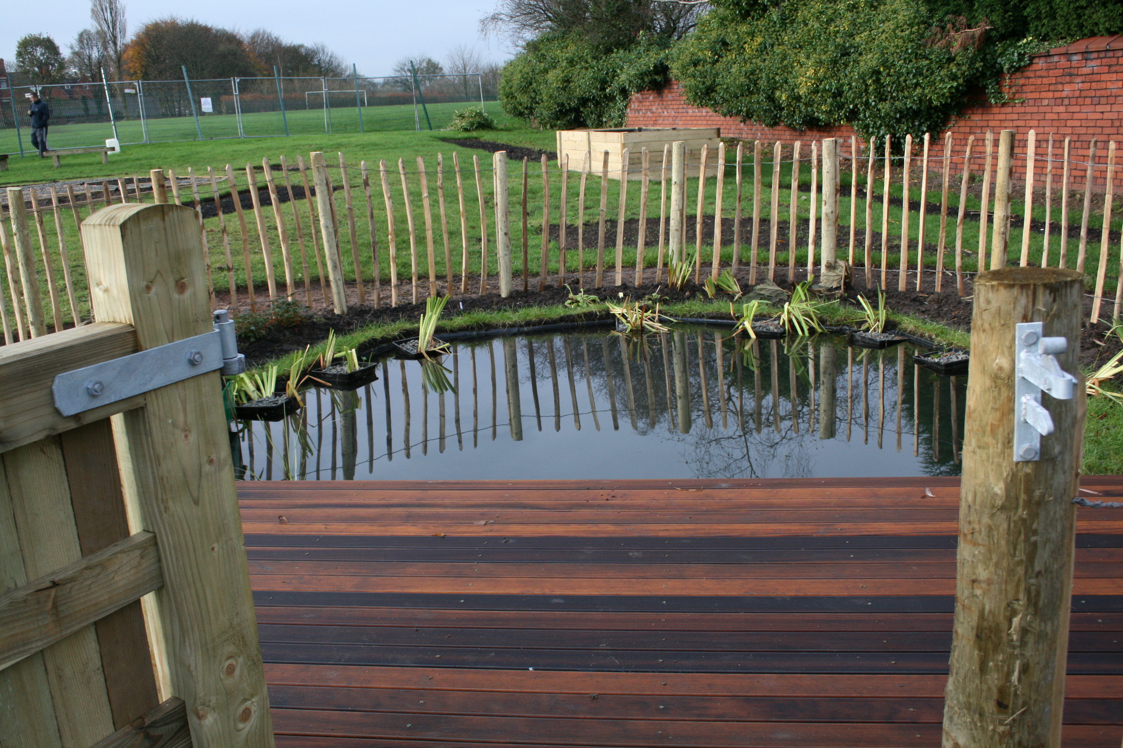 Wildlife Pool with hardwood boardwalk and rustic fencing at Mathew Moss High School Eco-Garden (Rochdale)